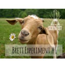Brett Experiment #1 - KIFUTOTT - Szűretlen.hu